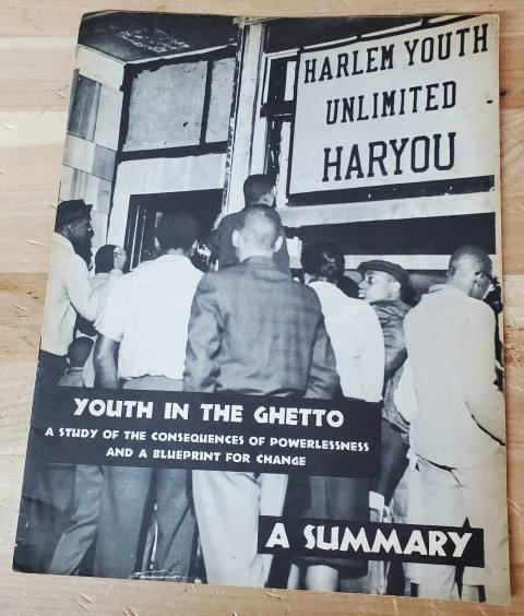 Youth in the Ghetto: A Study of the Consequences of Powerlessness and a Blueprint for Change — A Summary
